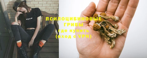 mdpv Надым