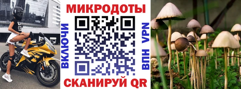 Псилоцибиновые грибы ЛСД  что такое   Питкяранта 